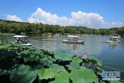 u=2959824831,2392400714&fm=11&gp=0 u=2959824831,2392400714&fm=11&gp=0