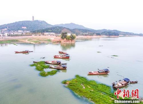 鄱阳湖5日起现今年首次长江水倒灌 利于渔业恢复