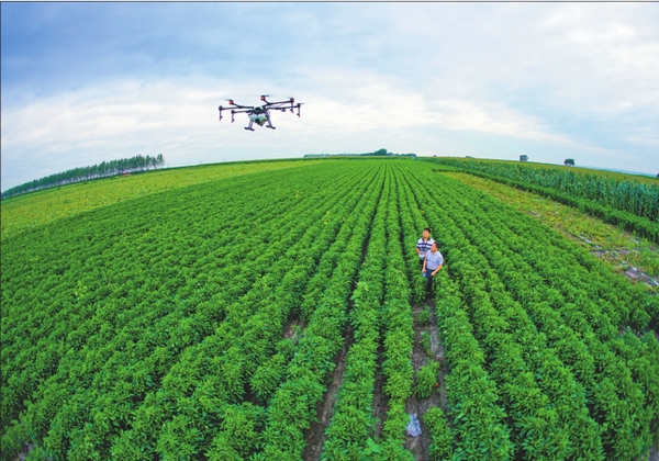 1121771918_15075096737401n 1121771918_15075096737401n