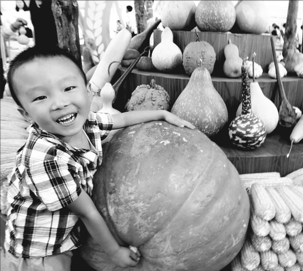 1121771918_15075096739171n 1121771918_15075096739171n