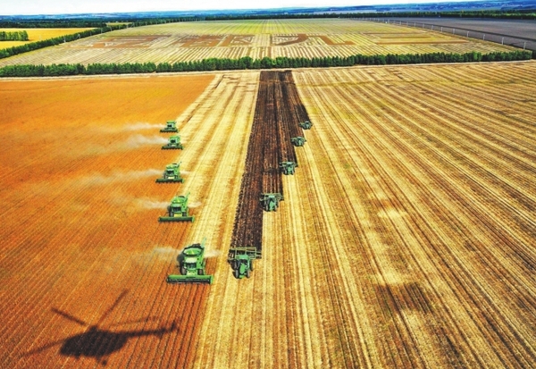 1121771918_15075097992481n 1121771918_15075097992481n