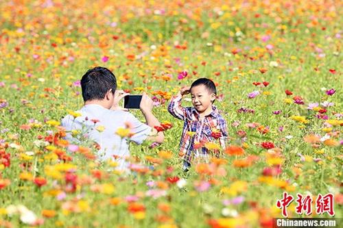 1121771009_15075048584811n 1121771009_15075048584811n