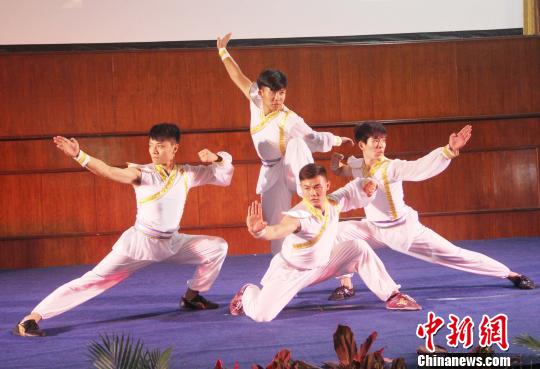 图为武术表演。　林永传 摄