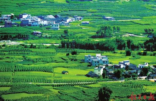 u=3318447228,2266212444&fm=27&gp=0 u=3318447228,2266212444&fm=27&gp=0