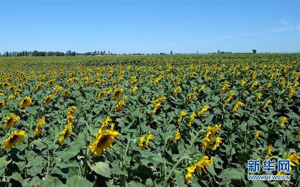 1121677347_15056377063991n 1121677347_15056377063991n