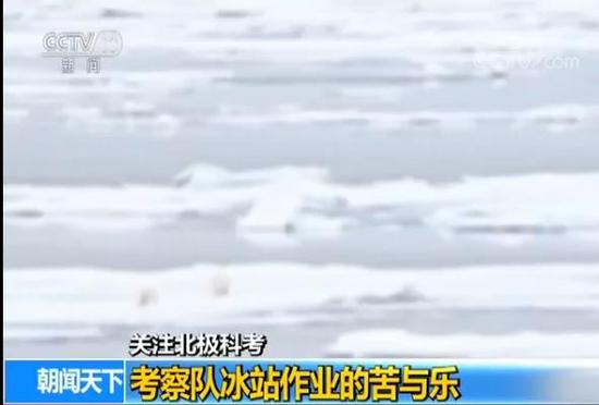中国第八次北极科考完成 队员讲述防北极熊经历