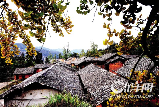 1260512051_G5uFAk 1260512051_G5uFAk