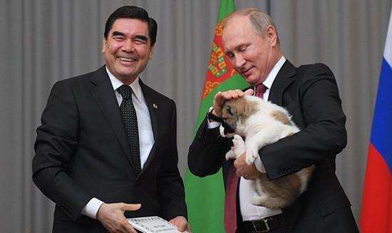 土库曼斯坦总统送普京小狗作生日贺礼 昵称忠诚