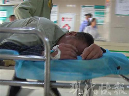 村民砍树掉下脸盆大小马蜂窝 2人被蛰伤当场昏迷