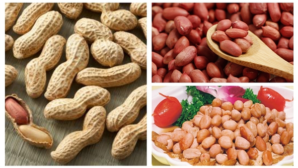 MAIN201710150956388680427197174 MAIN201710150956388680427197174