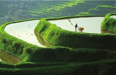 e13317aba7ee3cf5af2cfff5eac0c100 e13317aba7ee3cf5af2cfff5eac0c100