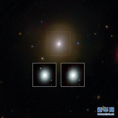 天文台将联合预警 天文台将联合预警