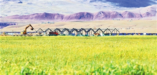 W020171016233668185918 W020171016233668185918