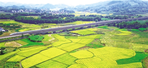 W020171015254492999698 W020171015254492999698