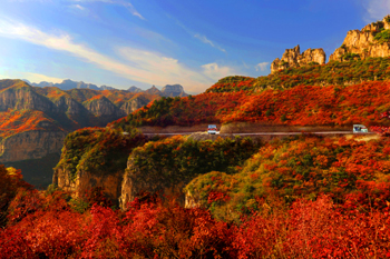 u=3306607606,4140110072&fm=11&gp=0 u=3306607606,4140110072&fm=11&gp=0