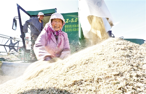 W020171018298347646832 W020171018298347646832