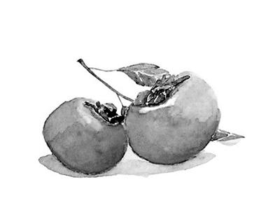 螃蟹+柿子=腹泻？科学解读食物相克