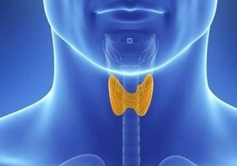 1121822534_1508319732352_title0h 1121822534_1508319732352_title0h