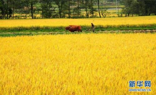 u=3035234557,1217829739&fm=27&gp=0 u=3035234557,1217829739&fm=27&gp=0