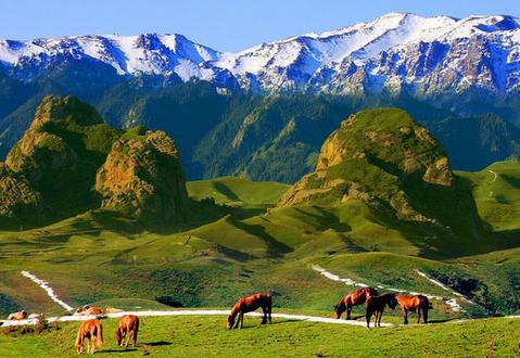 1443678161674 1443678161674