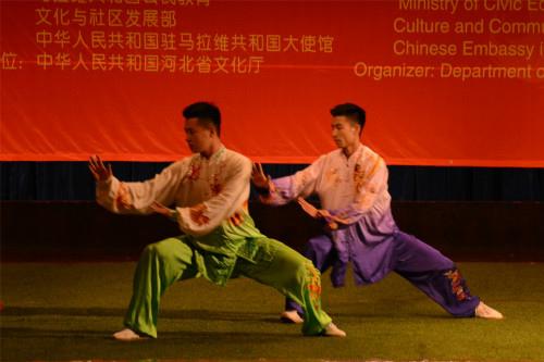 中国侨网武术表演。