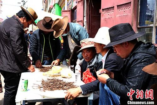 8ef9ab76abdc45ed819792339174a02a 8ef9ab76abdc45ed819792339174a02a