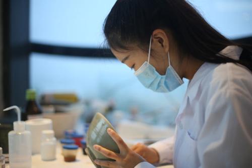 小詹在修复瓷器。采访对象供图 点击进入下一页