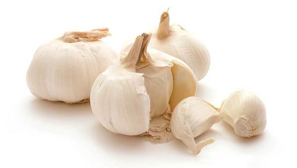 MAIN201710211255559466119524341 MAIN201710211255559466119524341