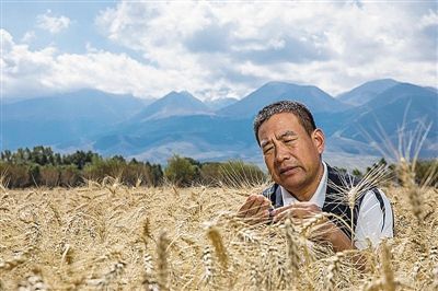 11047707306345359234 11047707306345359234