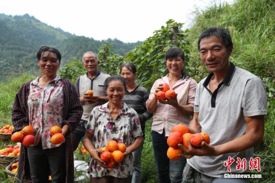 e369bc1237004ca680345df340430c98 e369bc1237004ca680345df340430c98