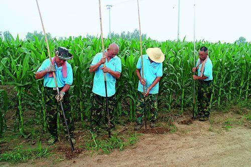 联合考古队在容城县南阳村考古，发掘古燕国城墙遗址。 摄影/刘向阳