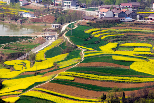 6597484282540742870 6597484282540742870