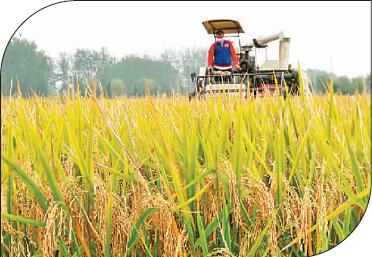 W020171022813147016689 W020171022813147016689