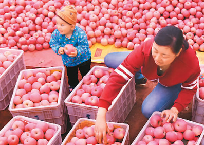 QQ截图20171026081814 QQ截图20171026081814