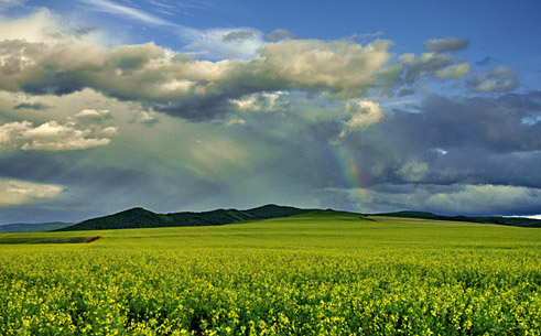 P200807280812241865477011 P200807280812241865477011