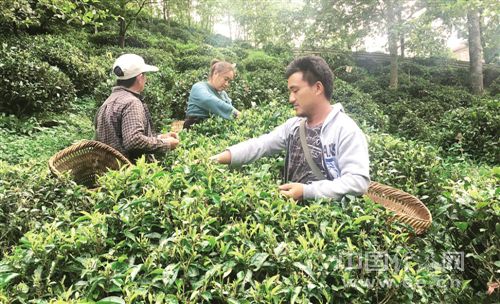 W020171026301505235658 W020171026301505235658