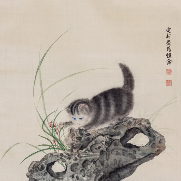 DF201710265320095 DF201710265320095