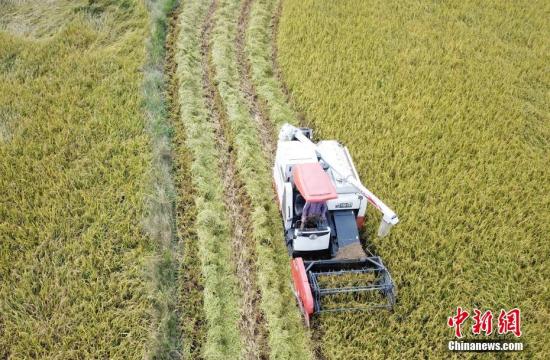 567c19203b5b4c8ba76f98b311a2397b 567c19203b5b4c8ba76f98b311a2397b