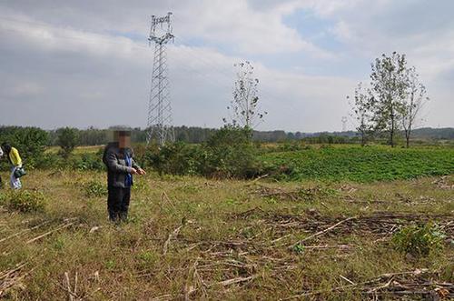 团伙谎称给孩子陪读 租房挖20米深洞盗掘古墓