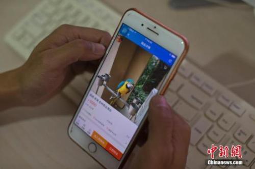 资料图：淘宝店主使用手机浏览自己的淘宝店铺。<a target='_blank' href='http://www.chinanews.com/'>中新社</a>记者 刘关关 摄