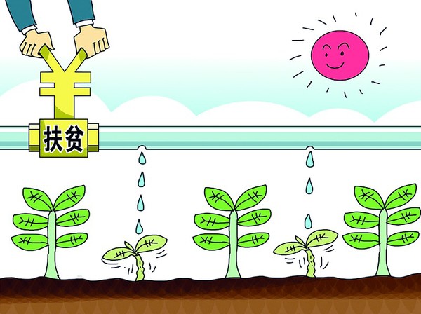 XHD011508_2 XHD011508_2