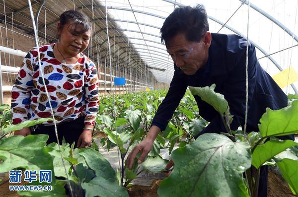 1121795016_15078125528001n 1121795016_15078125528001n