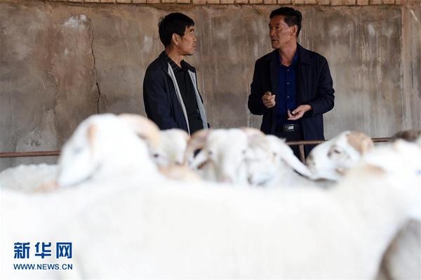 1121795016_15078125527221n 1121795016_15078125527221n