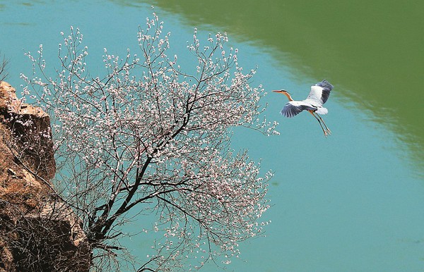 40f02f1a0e6d1a22f6260a 40f02f1a0e6d1a22f6260a