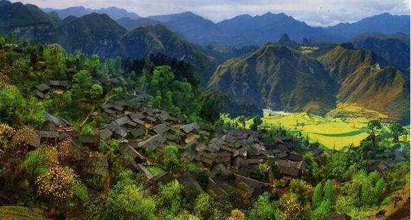 TIM截图20171030095954 TIM截图20171030095954