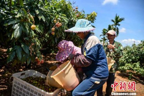 342fd02990184413a8c4070aba85913f 342fd02990184413a8c4070aba85913f