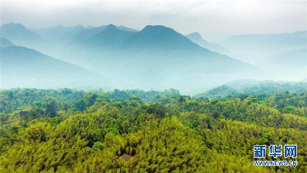 1121716786_15063073872441n 1121716786_15063073872441n