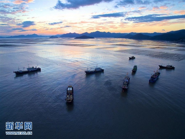 300838164CEEC43B89BFA7A7FA6ED79C25006DB7 300838164CEEC43B89BFA7A7FA6ED79C25006DB7