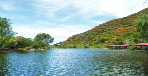 358202_500x500 358202_500x500