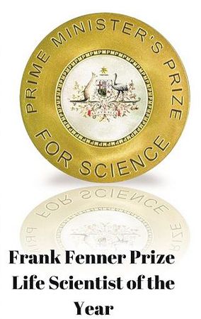 18188784419535891274 18188784419535891274